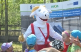 „Sukcesy ekologiczne przedszkolaków”