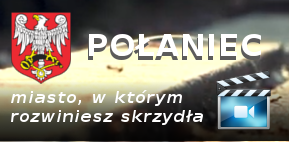 Spot 2019